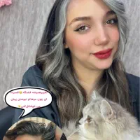 جشنواره خدمات رنگ و لایت و زیبایی|خدمات آرایشگری و زیبایی|شیراز, باغ تخت|دیوار