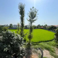 ملک به متراژ ۱۹۰۰ متر