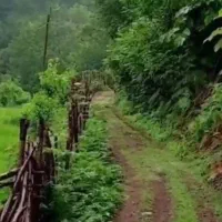 بی حوصلگی