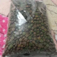 غذای گربه بسته یک کیلویی