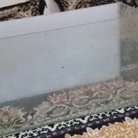 آکواریوم