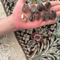 نگین عقیق و شجر و سرخ و  جاسپر وسوسنی و مشکی