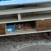 میزنی وی سالم