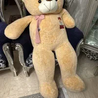 عروسک خرسی شاخصین|اسباب‌بازی بچه|پرند, فاز ۴|دیوار