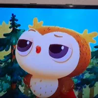 تلویزیون ال ای دی سامسونگ  اصل کره