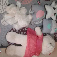 عروسک پولیشی و نمدی