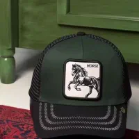 کلاه|لباس|خوی, |دیوار