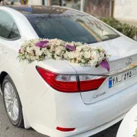 تزئین ماشین عروس و دسته گل|گل و گیاه طبیعی|رشت, دیلمان|دیوار