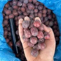 پخش عمده انواع عناب مرغوب به سراسر کشور