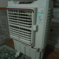 کولرابی