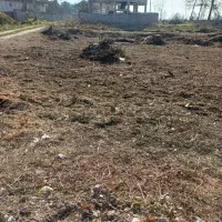 ۳۱۱ متر زمین در گیلان|فروش زمین و ملک کلنگی|سنگر, |دیوار