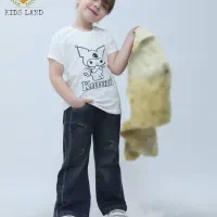 فروش خط  تلفن