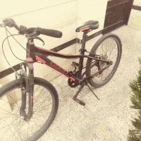 دوچرخه جاینت