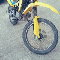 تریل پیشرو گلد شکاری