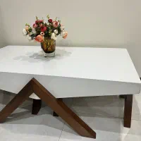 میز وسط مبلی  و ۲ عدد گل میز