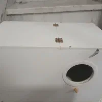 لانه عروس هلندی کوتوله برزیلی مرغ عشق