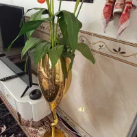 گل و گلدان|گل مصنوعی|کرمانشاه, |دیوار