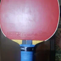 راکت پینگ پنگ حرفه ای|ورزشهای توپی|الوند, |دیوار