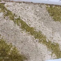 حلواارده و روغن ارده|خوردنی و آشامیدنی|تهران, امیریه|دیوار