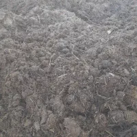 کود حیوانی  .|خدمات باغبانی و درختکاری|کلاترزان, |دیوار