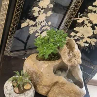 ابنما سنگ طبیعی گلدان سنگی