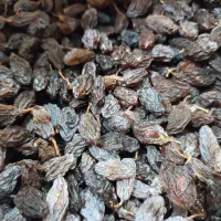 مویز|خوردنی و آشامیدنی|شیراز, دشت چنار|دیوار