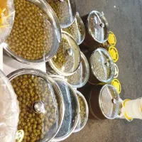 زیتون عمده و خرده|عمده‌فروشی|قائم‌شهر, |دیوار