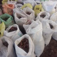 کود گوسفندی به فروش میرسد