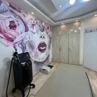 رهن واجاره فوری اطاق درکلینیک زیبایی|اجارهٔ دفتر کار، اتاق اداری، مطب|رشت, کاکتوس|دیوار