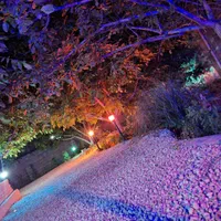 اجاره باغ. ویلا خانزنیان دشت ارژن شیراز