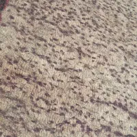 کچه ترکمنی ..فرش پشمی|فرش|گنبد کاووس, |دیوار