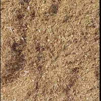 فروش کاه لوبیا