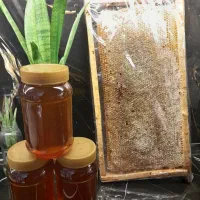 عسل چهل گیاه برنج آسمان لوبیا چیتی