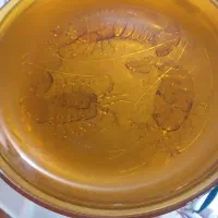 بشقاب میگویی