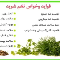 تخم شویدارگانیک|خوردنی و آشامیدنی|پاکدشت, پاکدشت (مامازند)|دیوار