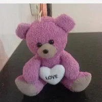 زیر پانصد|ظروف سرو و پذیرایی|مشگین شهر, |دیوار