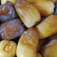 رطب درجه یک کبکاب و خنیزی و پیارم