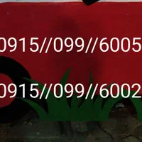 0915/099/6005   6002