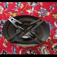 ظبط و باند سونی