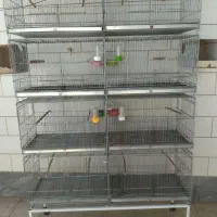 قفس غلامی اصل ۶ خان و ۸ خان