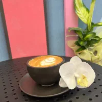 استخدام باریستا مسلط در کافه بستنی ژلاتو