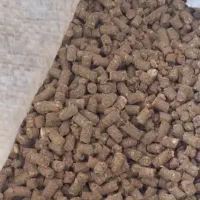 خورا‌ک|لوازم جانبی حیوانات|جنگل, |دیوار
