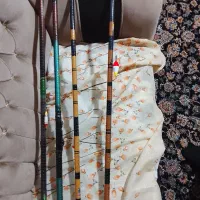 کاسی و لانسی ماهیگیری