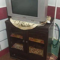 تلویزیون و زیر تلویزیونی