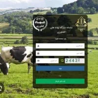 خرید از سایت بازارگاه