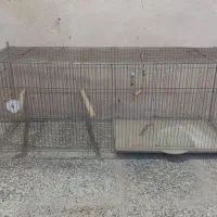 دو عدد قفس