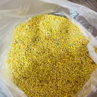 گرده گل هفت رنگ