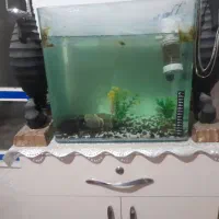 اکواریوم