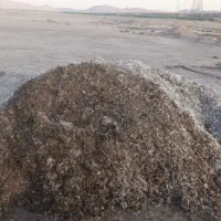 کودمرغی قرضی|خدمات باغبانی و درختکاری|جلگه چاه هاشم, |دیوار