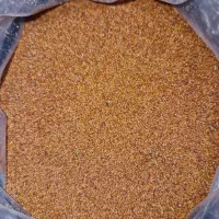 خاکشیر داورزن